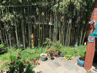 Lovely 1 bedroom apartment in Foxhall Village - Washington - 4