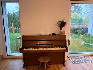 Modern house with private garden - Genf - 4