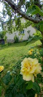 Gîte des Pommiers - Sainte-Eulalie - 9