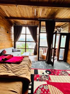 Cabin sikunir dieng - Kejajar - 2