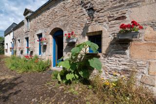 Daol Grenn - Pluvigner - 1