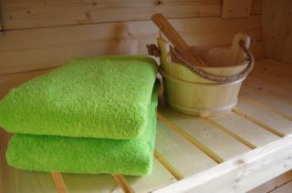 Ferienhaus Tinylausitz mit Kamin und Sauna - 3