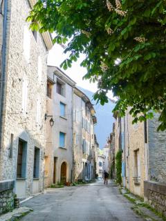 Maison de charme sous le soleil de la Drôme - Châtillon-en-Diois - 4