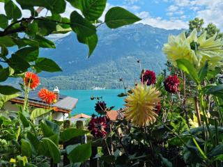 Chalet Swiss Alps - Niederried - 2