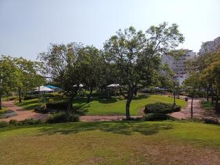 Guest House - Rishon LeẔiyyon - 9