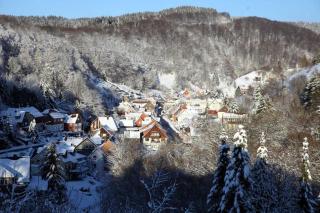 Ferienwohnung Lerbachtal R3 - Osterode - 1