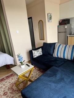 Deluxe Private Studio Pad JKIA SGR - Nairobi - 9