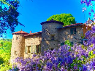 Chateau de Durianne - Le Monteil - 8
