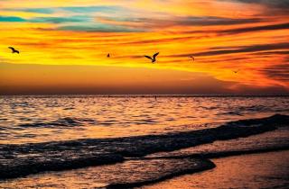 Crescent Royale 115 - Siesta Key - 0