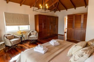 Olive Grove Villa - Koropi - 9