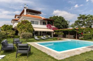 Olive Grove Villa - Koropi - 2