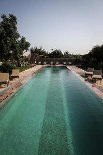 Villa Des Arganiers - Essaouira - 7