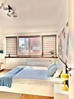 1BDR Flat in center of Sofia Vitoshka Blvd - Sofia - 2