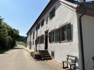 Metzlinschwander Hof - Marxzell - 6