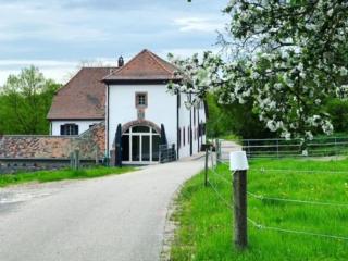Metzlinschwander Hof - Marxzell - 8