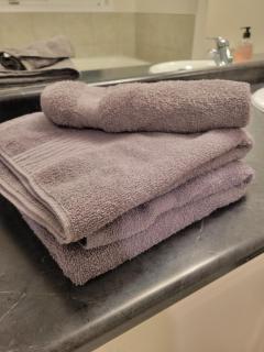 15 mins from Niagara falls-5 Bedrooms Inn - Thorold - 3