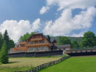 Glücksplatz im Lärchenhof Mauterndorf - 8