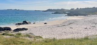 Tranquilidad y mar - - 2