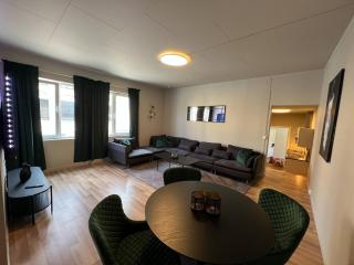 Notodden Sentrum Apartment NO 12 - Notodden - 2