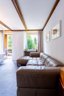 Balcony and Terrace with View and 15min to Interlaken - Beatenberg - 3