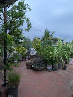 Carbon Stays - Couples & Travelers Friendly Stay - Chennai - 4