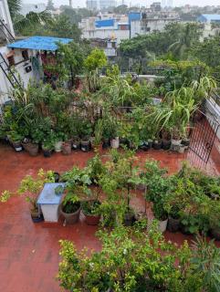 Carbon Stays - Couples & Travelers Friendly Stay - Chennai - 3