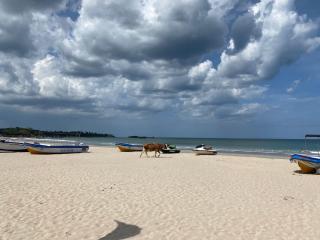 The White House - Trincomalee - 9