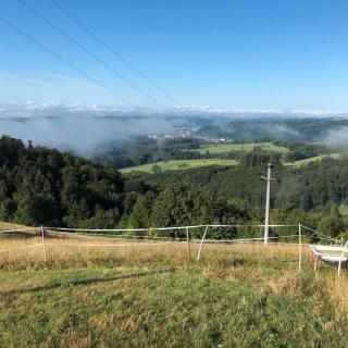 Ferienwohnung an der Wiese - 1