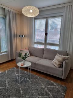 Bright apartment, airport 3km, private parking, sauna - Vantaa - 4
