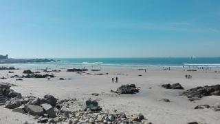 Charming apart by the beach - Matosinhos - 7
