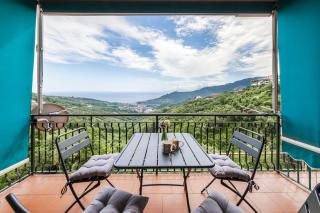 Il cardellino sul mare - 0