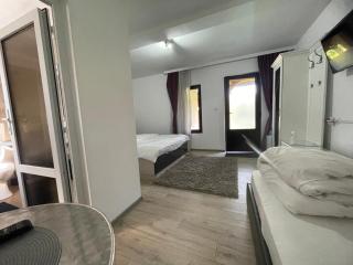 GAMA viseu de sus - 2