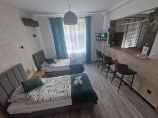 Apartament Zacisze 2 - Przemyśl - 9