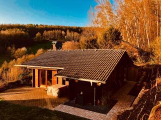 Chalet Eins - Dammbach - 6