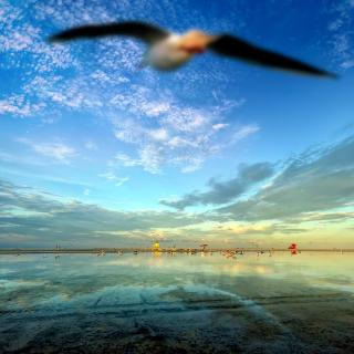 Crescent Royale Condominiums 300 - 8