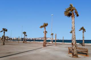Charmant Studio Côtier - Tanger - 9
