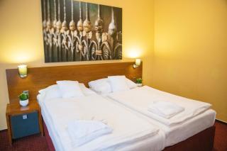 Hotel U Salzmannů - Pilsen - 8