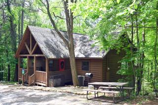 Cottage In The Pines #297 - Sevierville - 3