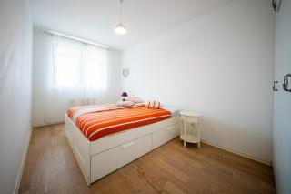 Flex SelfCheckIns 173 - Zagreb - Bedroom - Parking - Loggia - Zagreb - 6