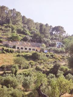 Agroturismo Finca Can Sec - Alaró - 8