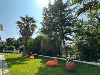 Sophies Olive haven - 7