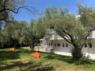 Sophies Olive haven - 6
