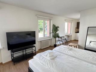 Comfortable studios in great location - Zürich - 6