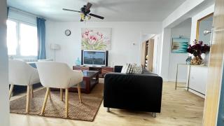 Casa Palomar - 8