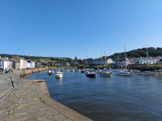 3 Bed in Cenarth 79198 - Felindre - 2