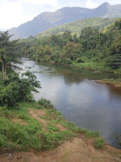 Winland Coffee & Stay - Kitulgala - 8