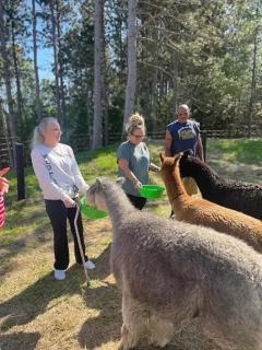 Casacampo Alpaca Ranch - Wisconsin Dells - 4