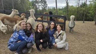 Casacampo Alpaca Ranch - Wisconsin Dells - 3