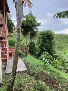 Hostal Las Hamacas Alta 3 - Villamaría - 8