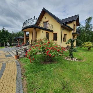 Agro u Murzyna cały dom - - 0